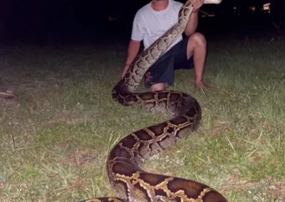 A person crouches in grass, holding a large python with intricate patterns, set against a dark night backdrop.