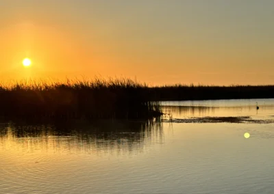 A serene sunset over a calm waterway, silhouetted by tall grasses, with a single bird peacefully standing in the shallows